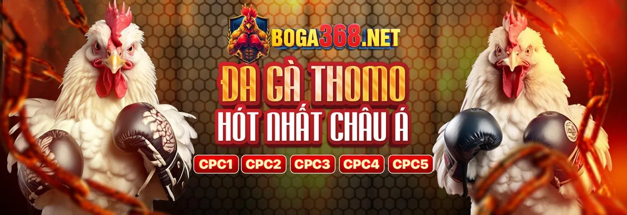 Đá Gà Trực Tuyến f168 Web